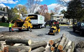 Best Leaf Removal  in Louisvle, IL